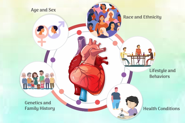 Assessing The Risk Factors Of Cardiovascular Diseases   Risk Factors Of Cardiovascular Diseases 