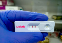 Malaria Antigen Test