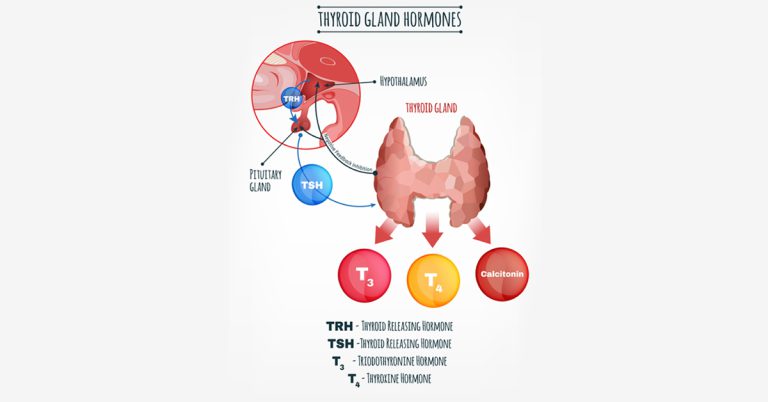 Why Thyroid is not a Gland you can Ignore? Why Thyroid is not a Gland you can Ignore?