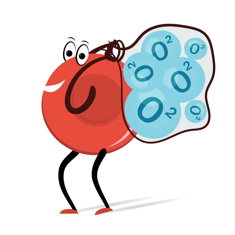 What the heck is hemoglobin! What the heck is hemoglobin!